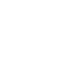 snow-icon1